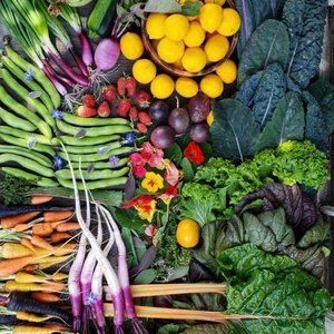 Meet your Posher, Jean